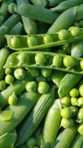 bean, food, legume, vegetables, beans, green stuff, peas, healthy, nature, nourishment, meal, garden, harvest