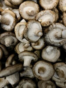 A close-up view of fresh shiitake mushrooms on display in a grocery store in Edmonton, Canada.