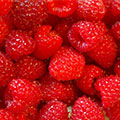 frambuaz