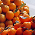 mandalina