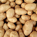 patates