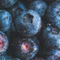 yaban mersini